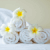 Fresh Linen
